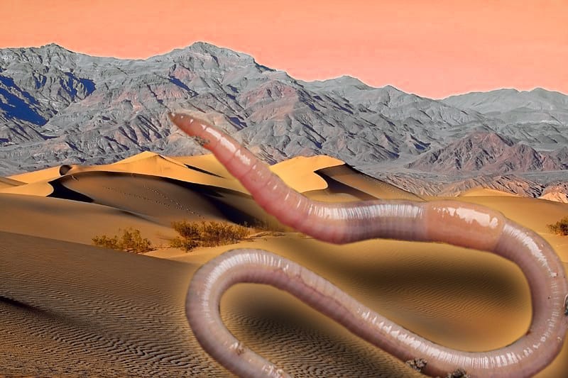 An giant earthworm lying on some desert dunes with mountains in the background
